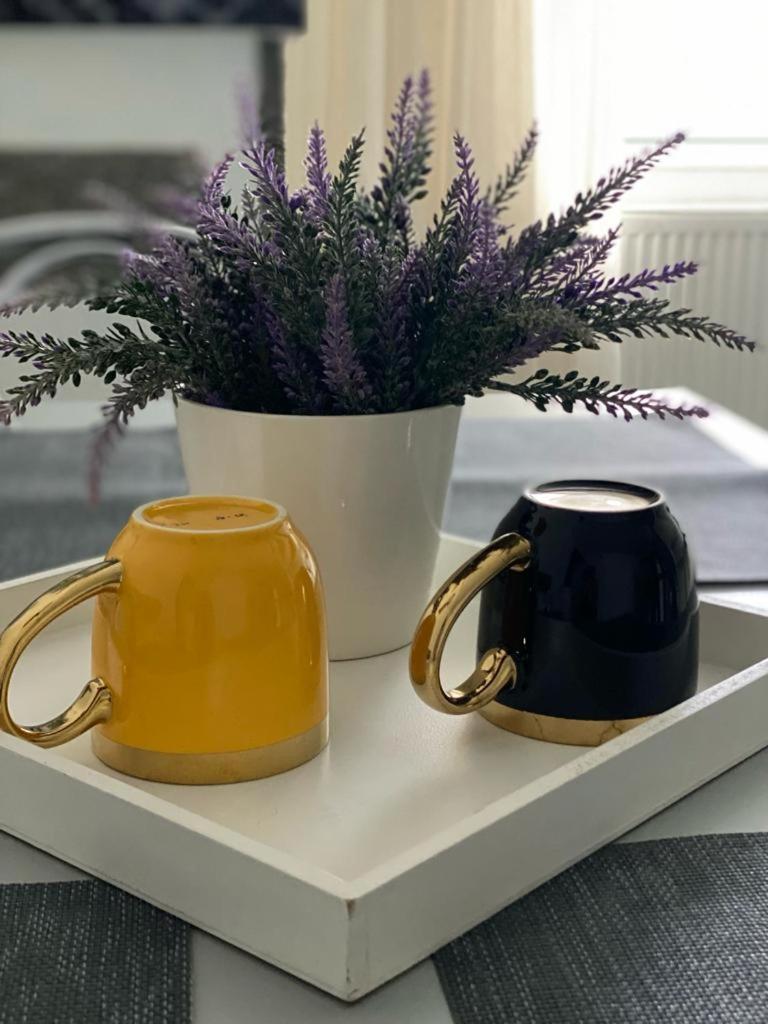 Apartament Doua Camere 巴亚马雷 外观 照片