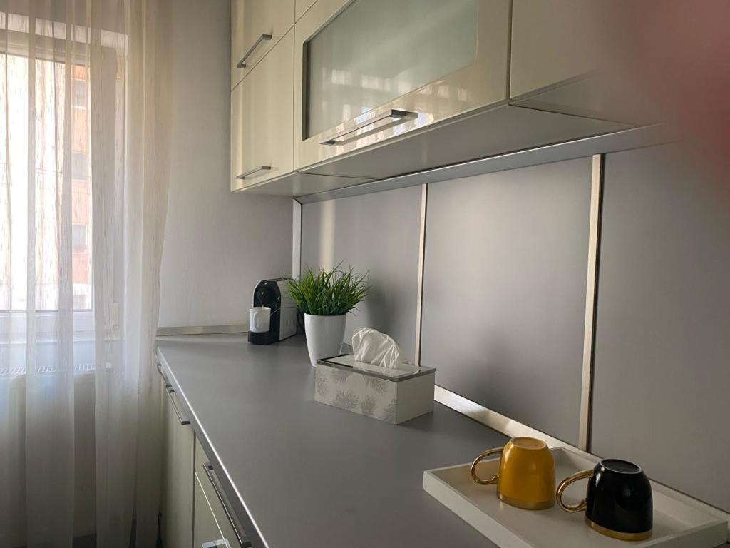 Apartament Doua Camere 巴亚马雷 外观 照片